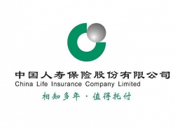 中国人寿保险海口第一支公司——吴嘉凤团队